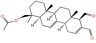 Mooloolabene C